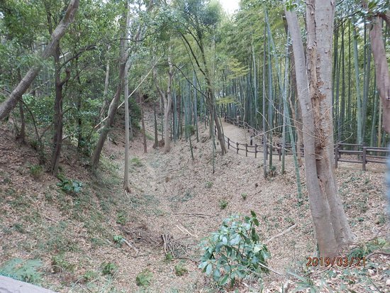 Hitorizawa Shimin no Mori