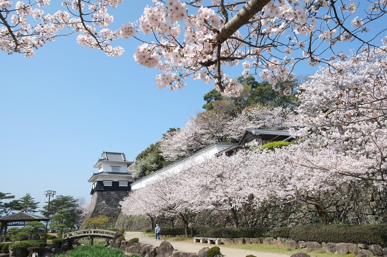 Omura Batting Dome