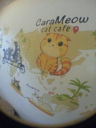 CaraMeow Cat Cafe