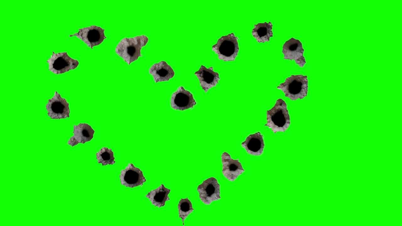 Bullet Holes from Seinan War