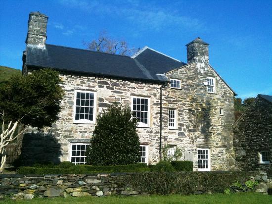 Y Lasynys Fawr