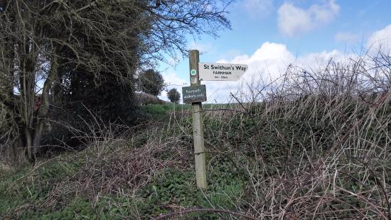 St. Swithun's Walk