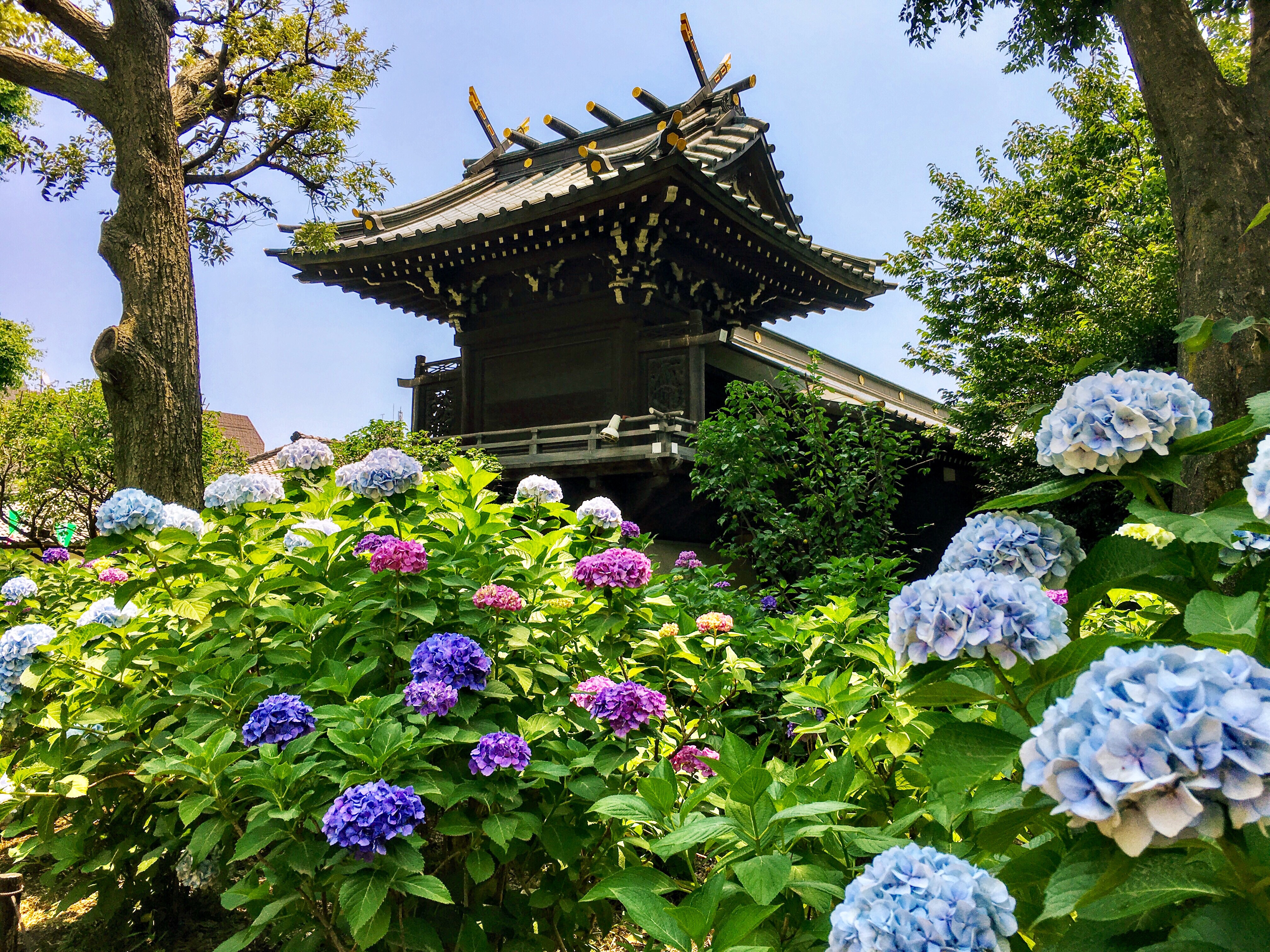 Hakusan Shrine