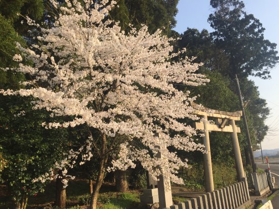Kihi Shrine