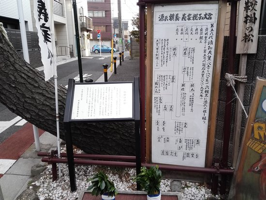 Kurakake no Matsu