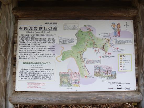 Arimaonsen Iyashi no Forest