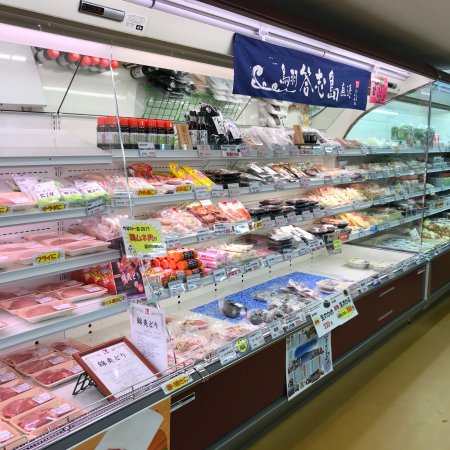 Shikisai Obira