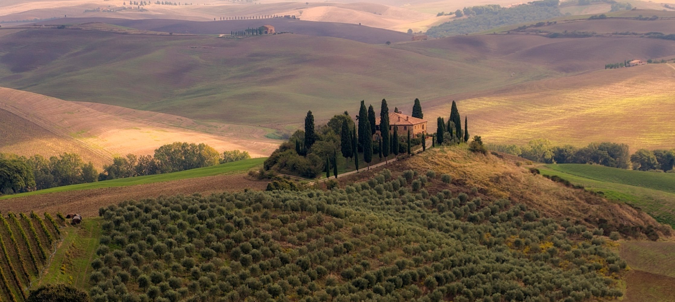 Orcia Paint Gallery