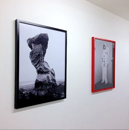 White Moose Art Gallery