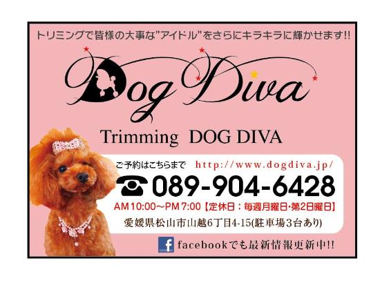 Trimming Dog Diva