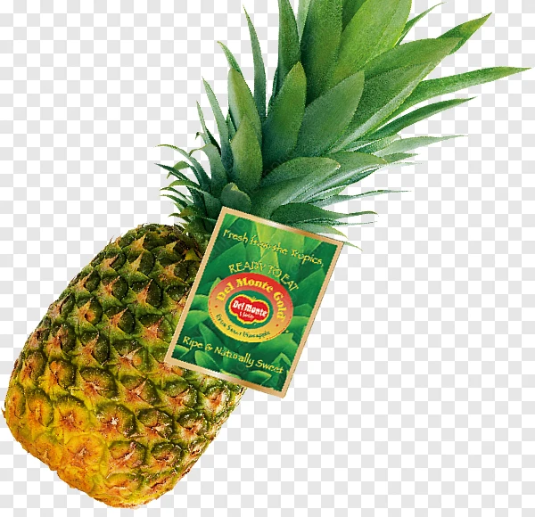 Ananas 730