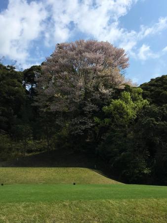 Taiheiyo Club Ichihara Course