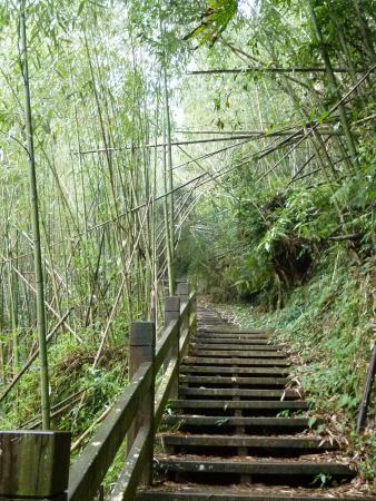 Jiayi Dadongshan Forest Trail