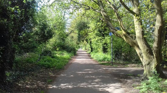 River Ver Trail