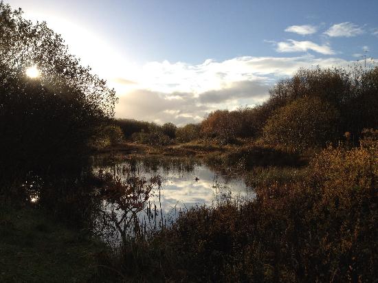 Kenfig National Nature Reserve