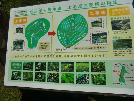 Ozekidani Wetland