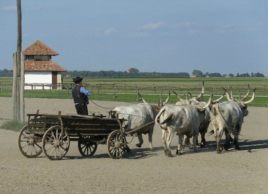 Puszta Animal Park