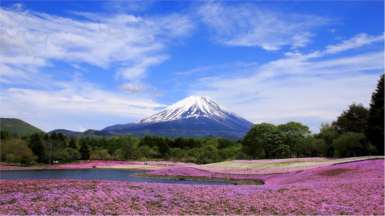 Mt. Gongen