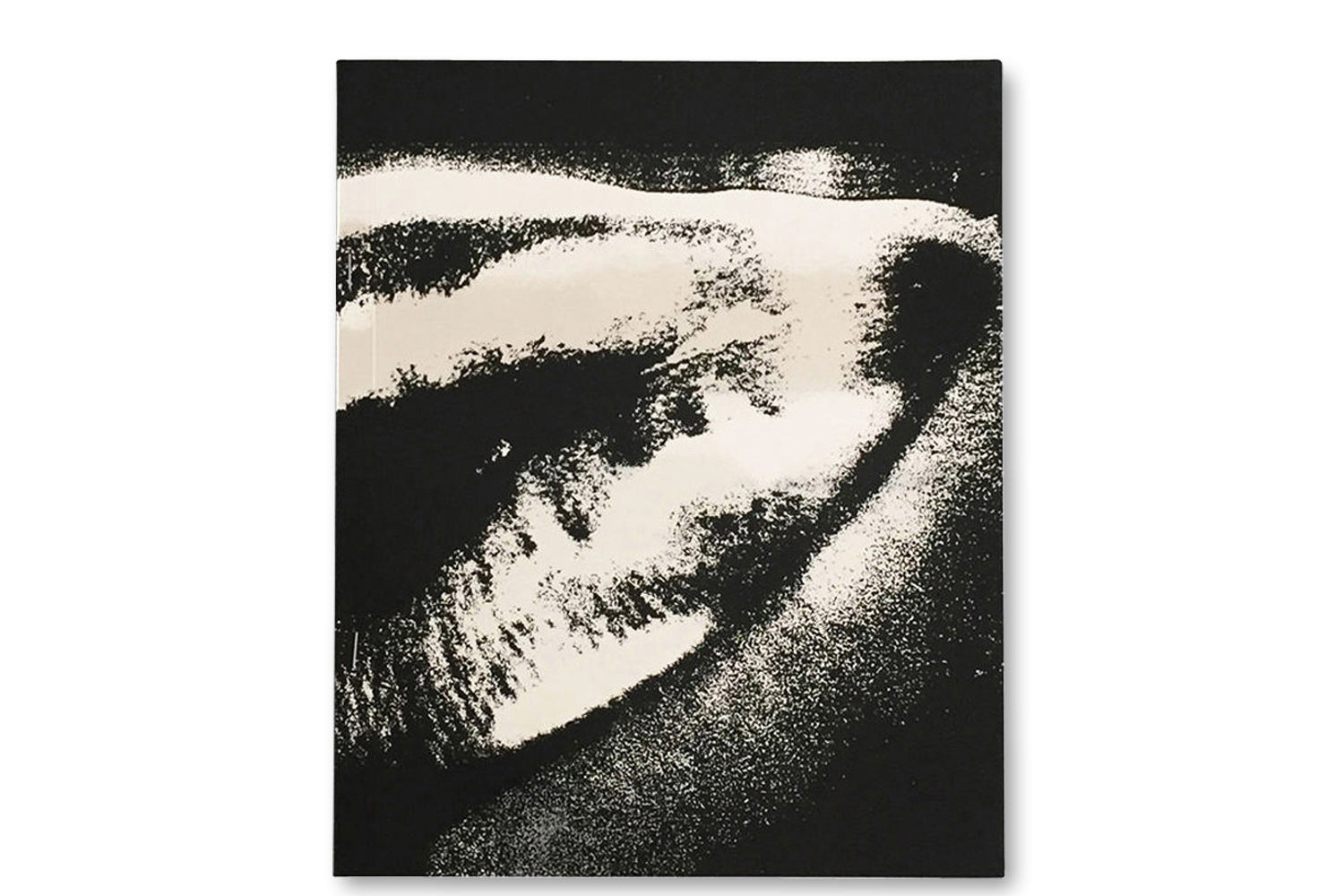 Toyake Moriyama