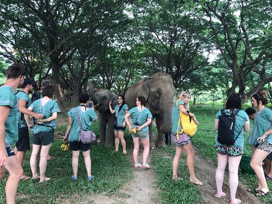 Maeklang Elephant Conservation Community
