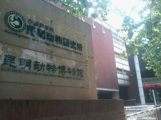 Kunming Animal Museum