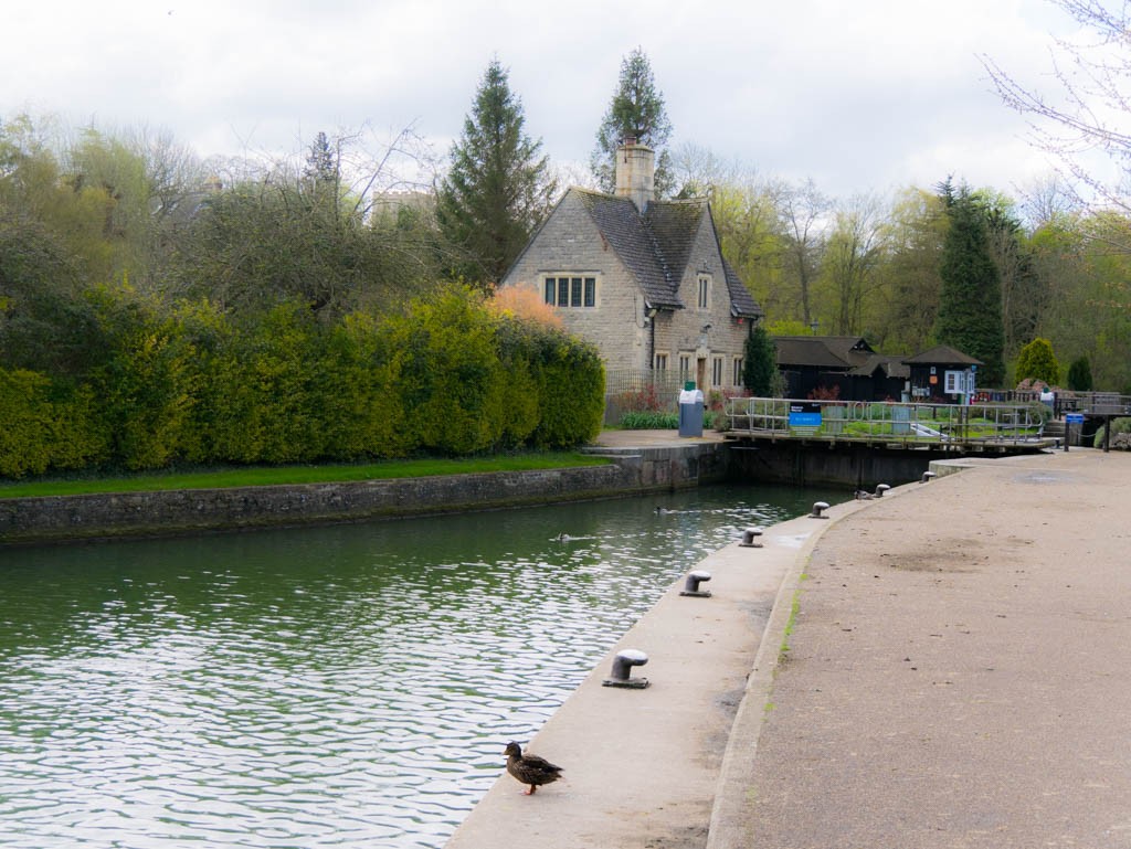 Iffley Meadows