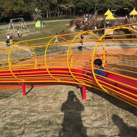 Suwa Park