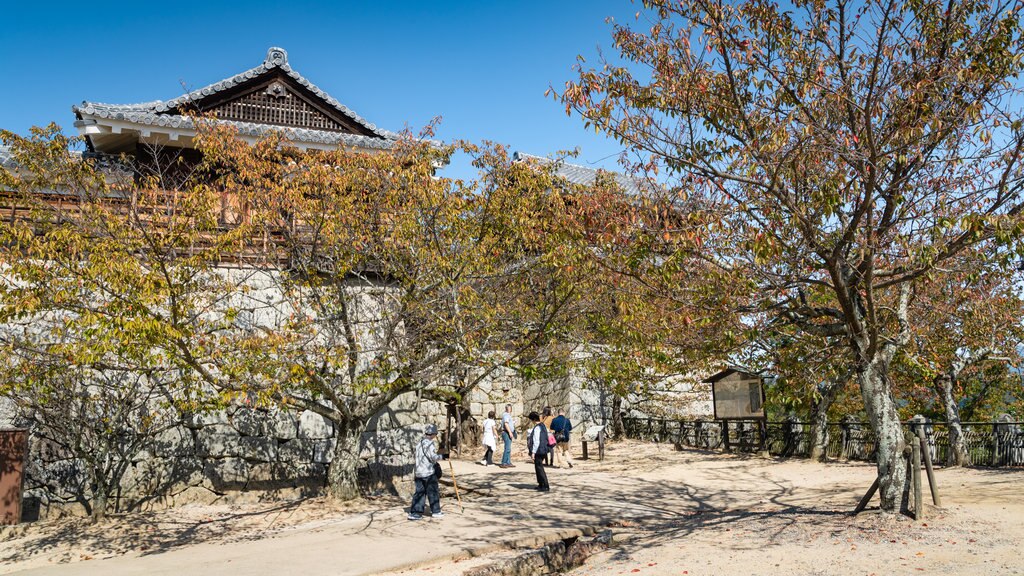Matsuyama Chuo Park
