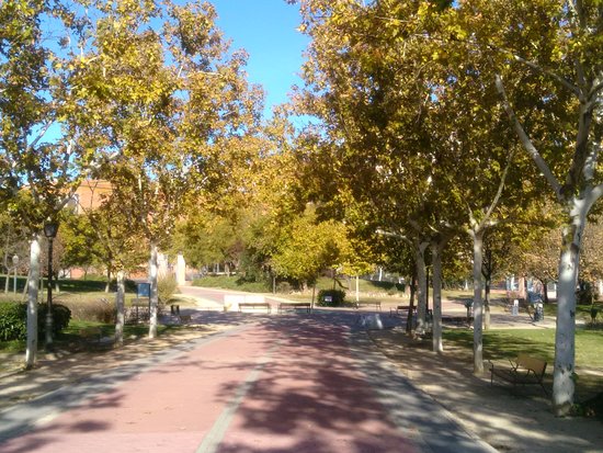 Outdoor Pictures 1