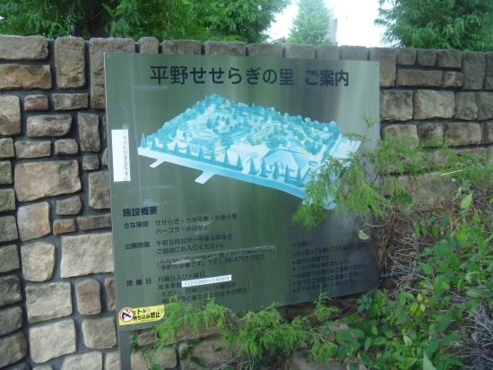 Hirano Seseraginosato