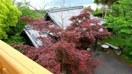 Mt. Hiraki Viewing Platform
