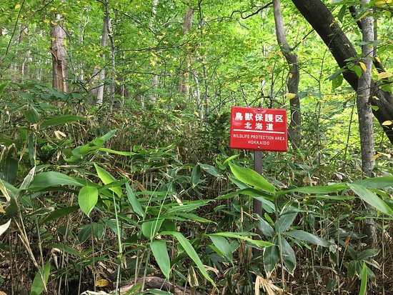 Maruyama Genshirin