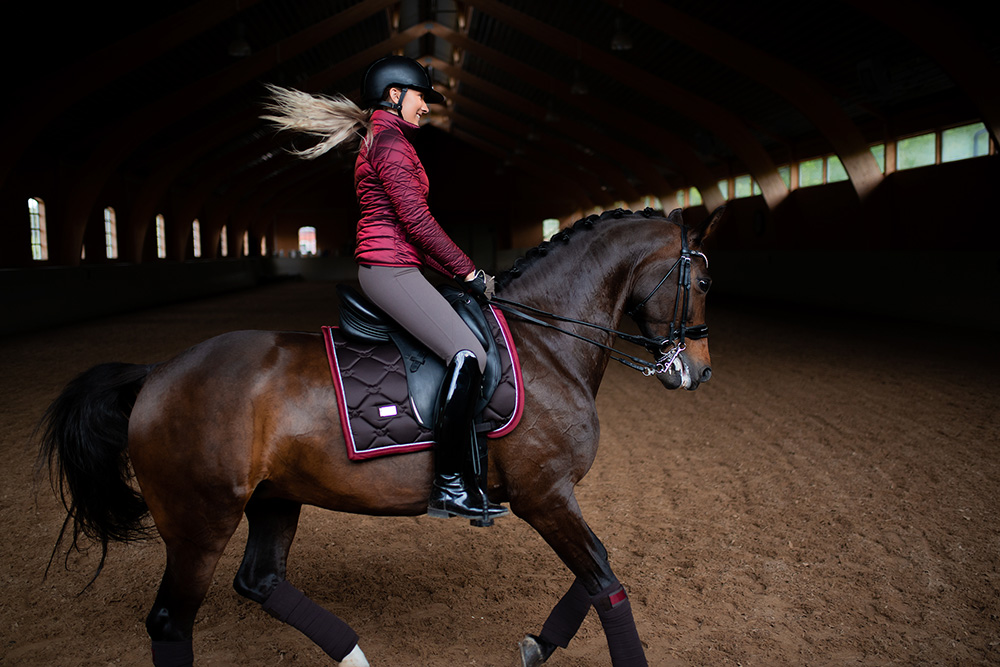 Sedgeway Equestrian