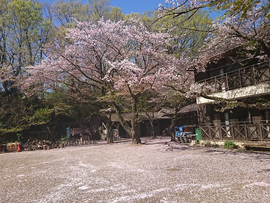 Kawasakishi Kurokawa Seishonen Yagaikatsudo Center