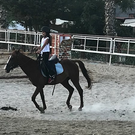 Turgutreis Countryranch Atli Spor Kulubu