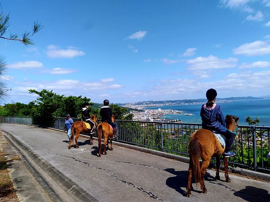Umikaze Horse Farm
