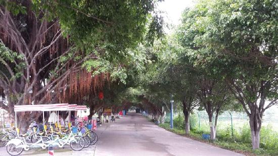 Haishou Island