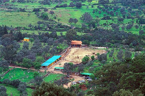 Farilya Horse Riding