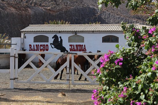 Rancho Jandia