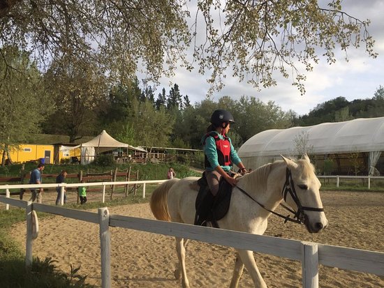 Club Ippico Equitania