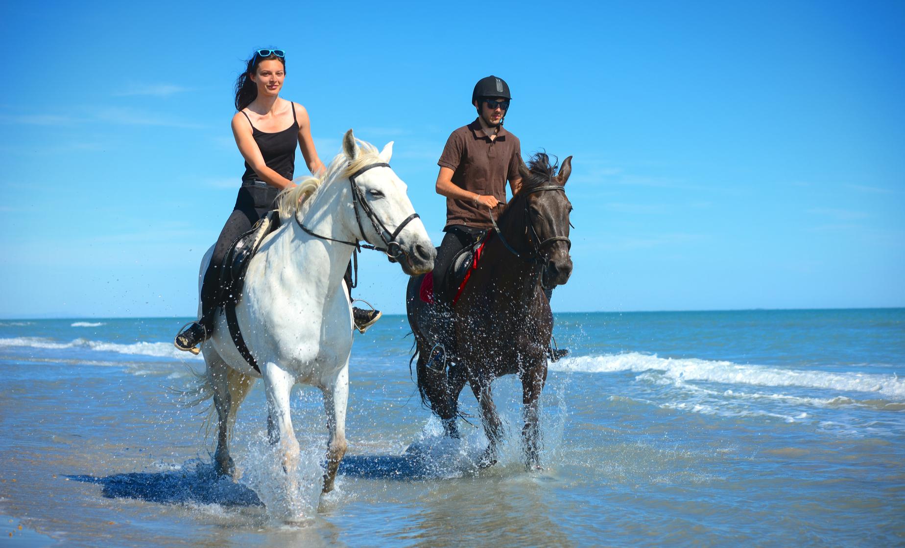 Cayman Horse Riding