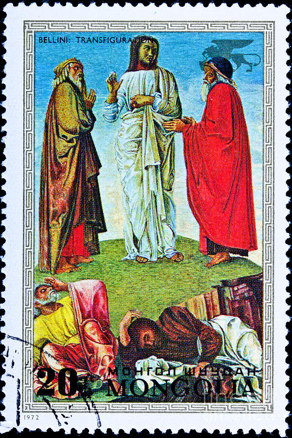 Transfiguration Link 7