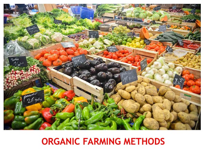 Chagusa Farming Methods Viewpoint 3
