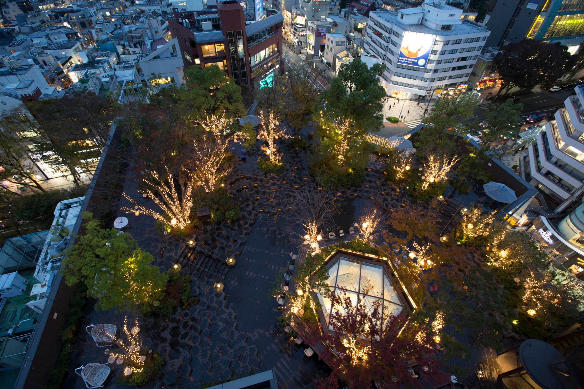 Omohara Forest