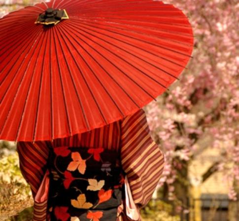 Ume Sakura