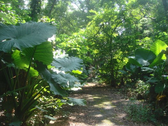 Outdoor Pictures 1