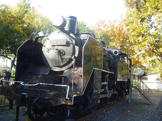 Steam Locomotive C11331