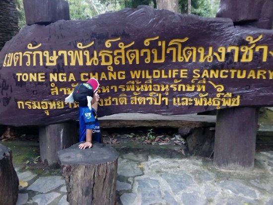 Namtok Ton Nga Chang