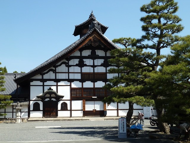 Shokoku-ji Temple Sakiwake no Chiritsubaki