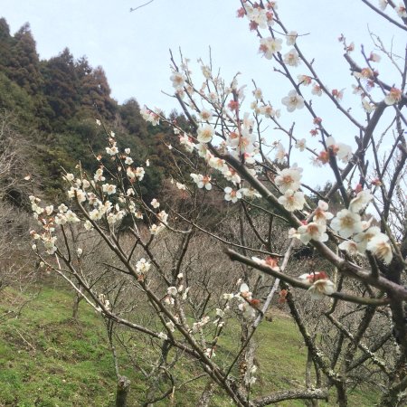 Mitake Bairin Park